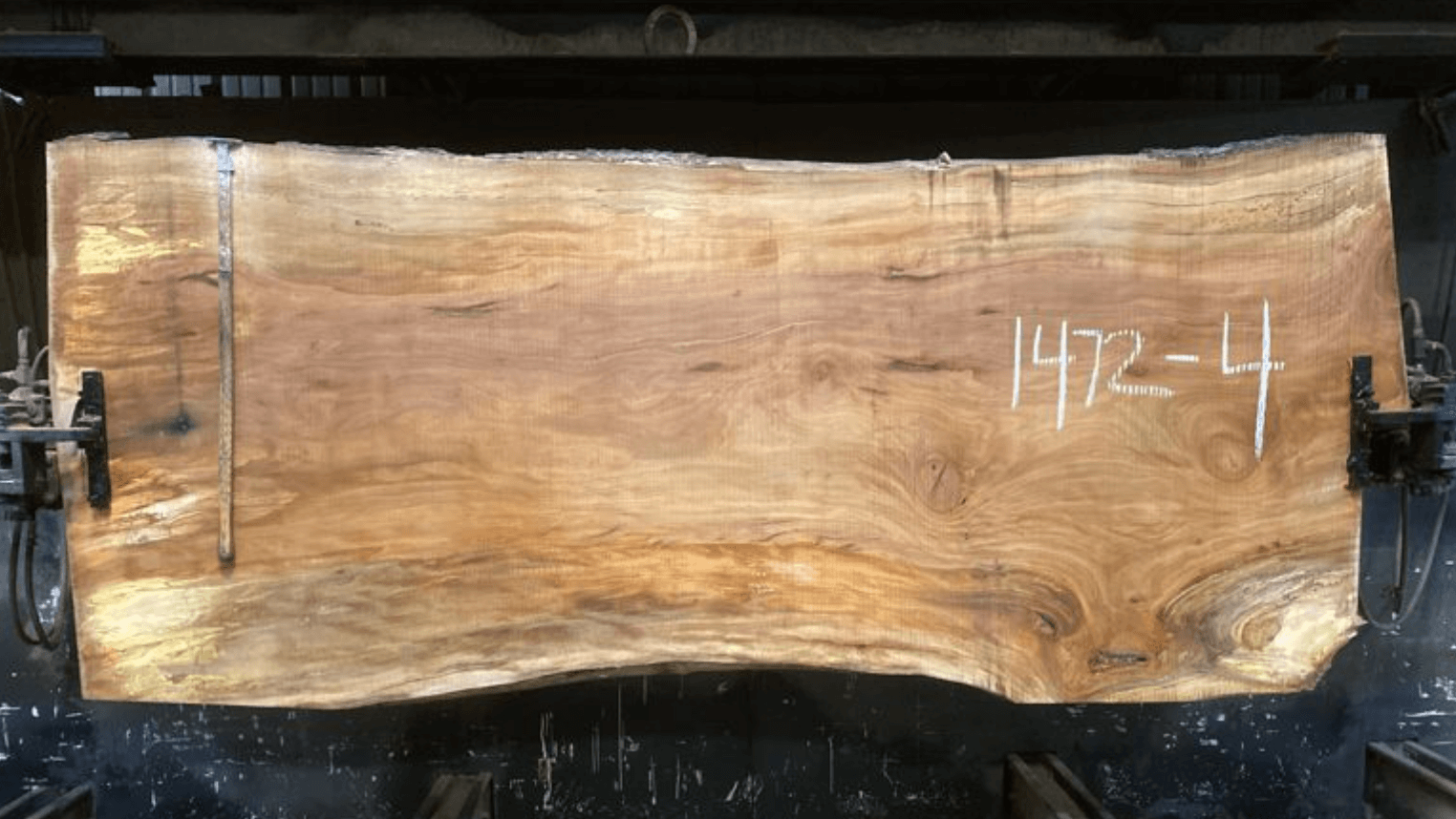 A large, rough-cut sycamore slab with a natural edge is secured on a workbench. The lumber features varying shades of brown and intricate wood grain patterns. A chalk notation "1472-4" is marked on the right side of the slab, perfect for any woodworking project.